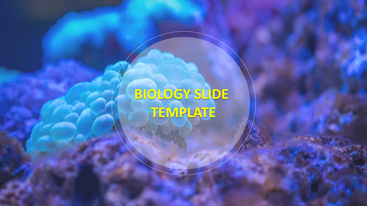 Buy Attractive Biology Slide Template Model-One Node